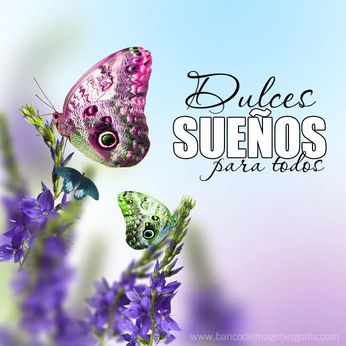 dulces-sueños-para-todos-mariposas | GOOD NIGHT•☆.MENSAJE DE ...