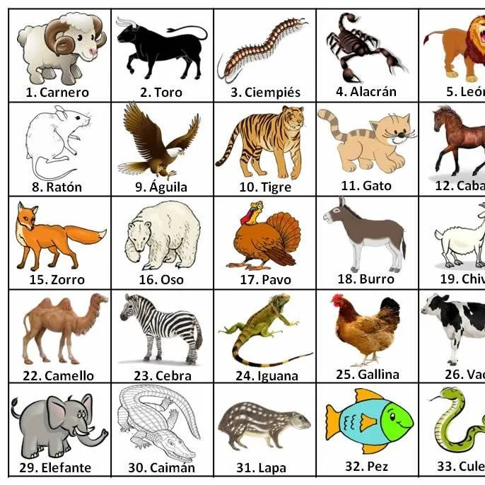 Resultados de animalitos - Imagui