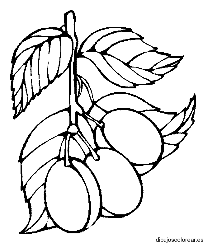 duraznos | Dibujos para Colorear