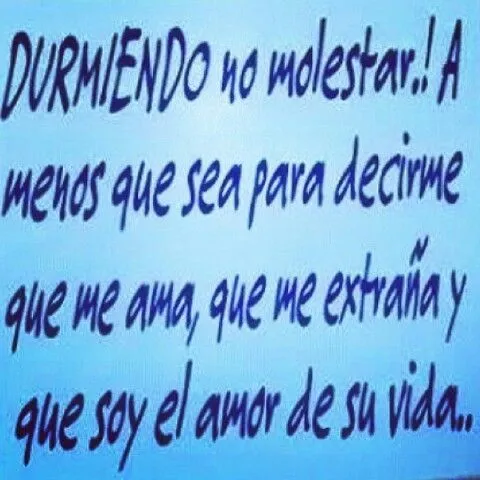 Durmiendo no molestar | Imágenes chistosas | Pinterest