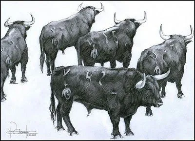 Duropan blog: dibujos de toros