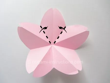 Easy Origami Cherry Blossom Folding Instructions Easy Origami Cherry Blossom Folding Instructions