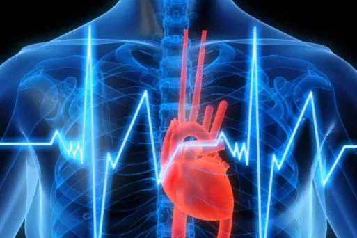 ECG v1 ~ NetzeK