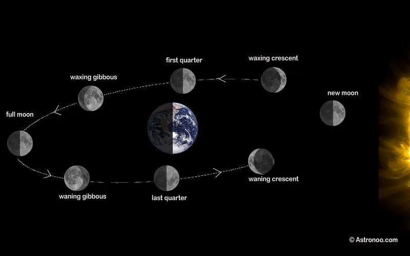 Eclipses y fases de la luna — Astronoo