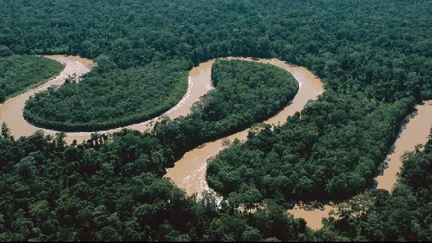 ECODIVIÉRTETE: AMAZONAS ECODIVIÉRTETE: AMAZONAS