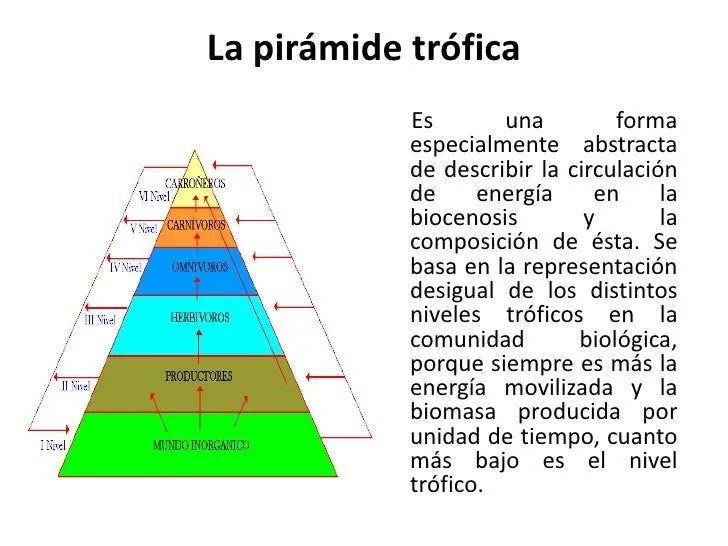 Ecologia