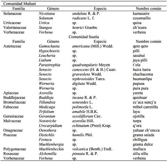 Nombres de plantas comunes - Imagui