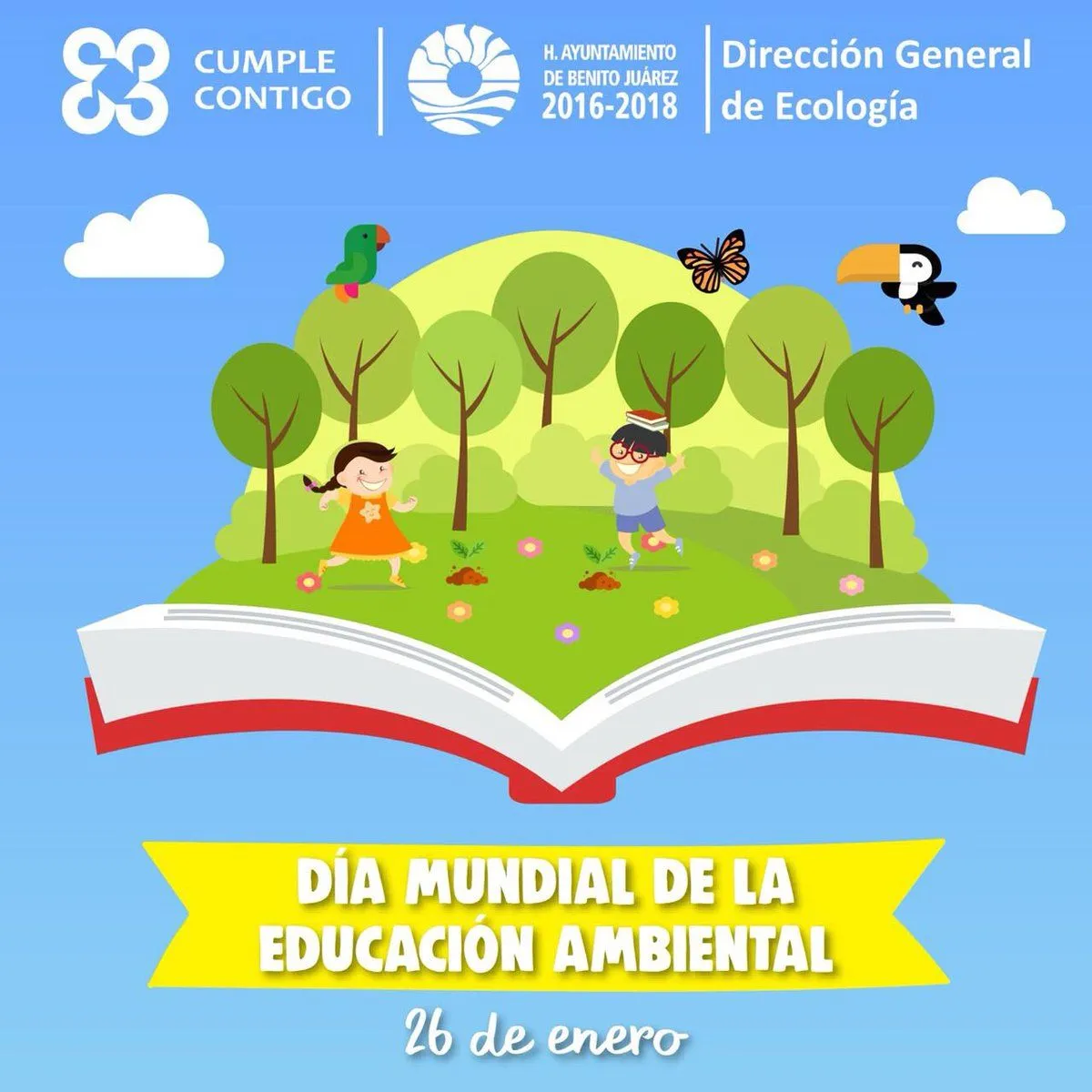 Ecología Cancún on X: Ecología Cancún on X:
