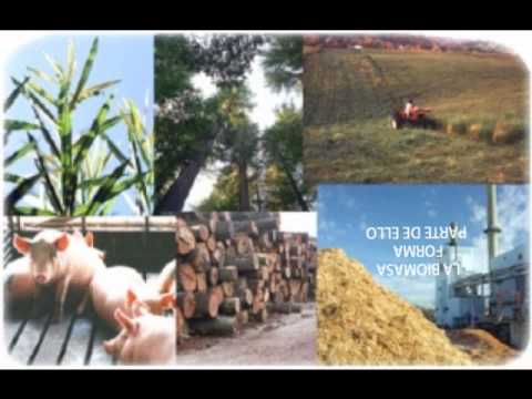 ECOLOGIA RECURSOS NATURALES RENOVABLES - YouTube ECOLOGIA RECURSOS NATURALES RENOVABLES - YouTube