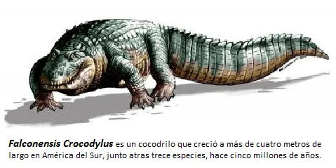 econoblognet: SURGIMIENTO DE LOS ANDES TERMINÓ CON LOS COCODRILOS ...