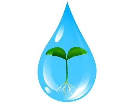 Economize água na hora de regar - PlantaSonya - O seu blog sobre ... Economize água na hora de regar - PlantaSonya - O seu blog sobre ...