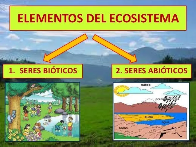 ECOLOGIA Y MEDIO AMBIENTE: junio 2015