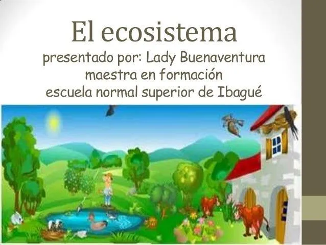 El ecosistema