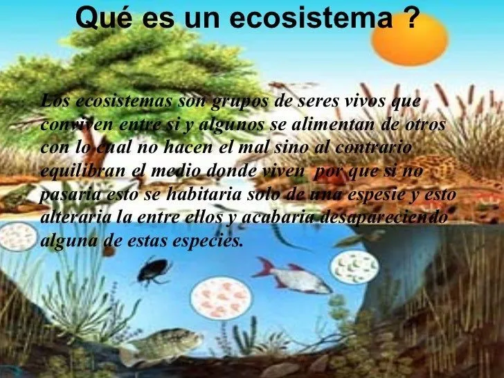Qué es un ecosistema