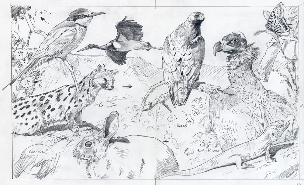 Ecosistema terrestre Colouring Pages