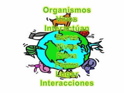 El ecosistema: factores bióticos y abióticos - YouTube El ecosistema: factores bióticos y abióticos - YouTube