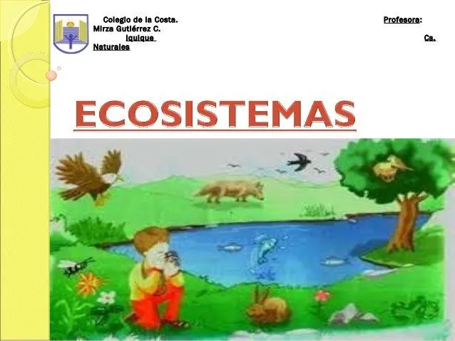 Ecosistema en imágenes - Imagui
