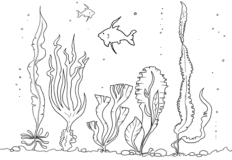 Ecosistemas terrestre facil para dibujar - Imagui Ecosistemas terrestre facil para dibujar - Imagui