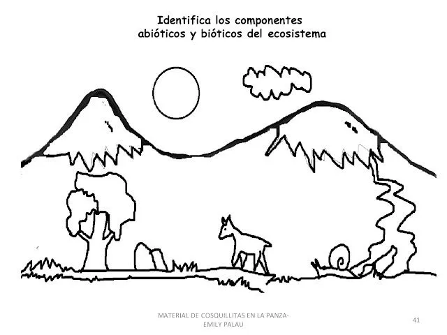 Ecosistema terrestre para colorear - Imagui