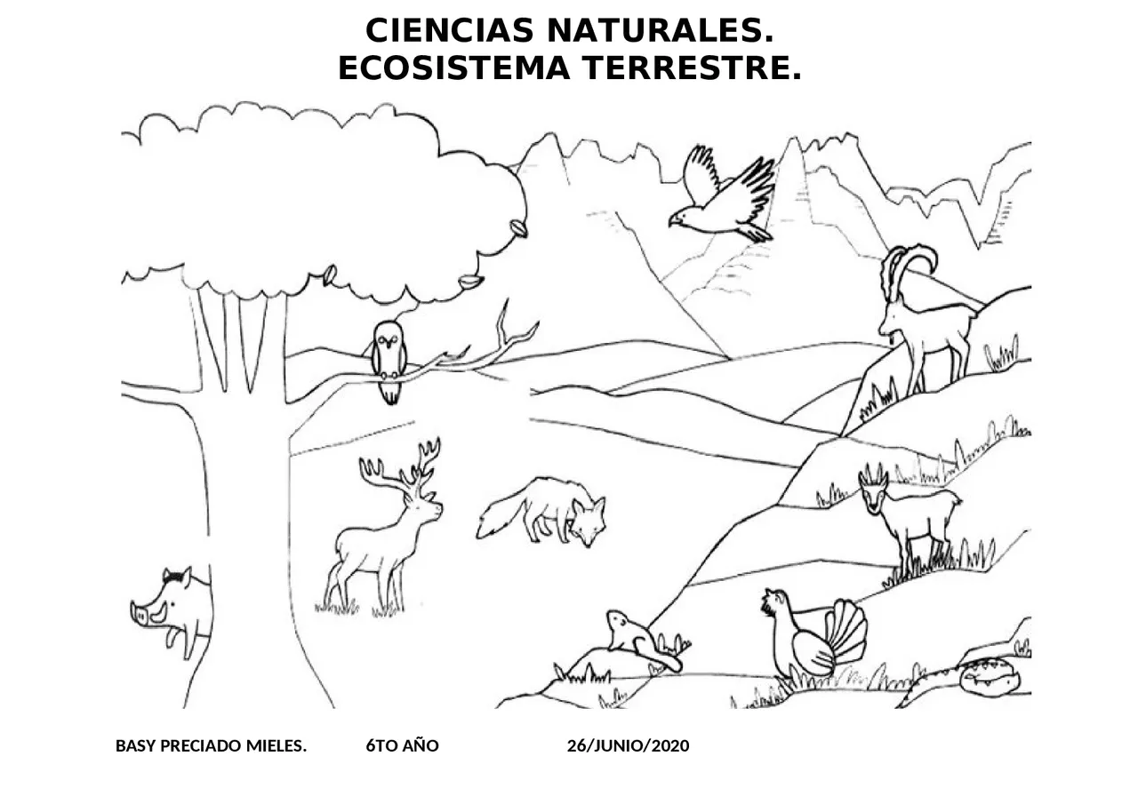 ECOSISTEMA TERRESTRE 2020 | Apuntes de Ciencias de la Tierra y del Medio Ambiente | Docsity ECOSISTEMA TERRESTRE 2020 | Apuntes de Ciencias de la Tierra y del Medio Ambiente | Docsity