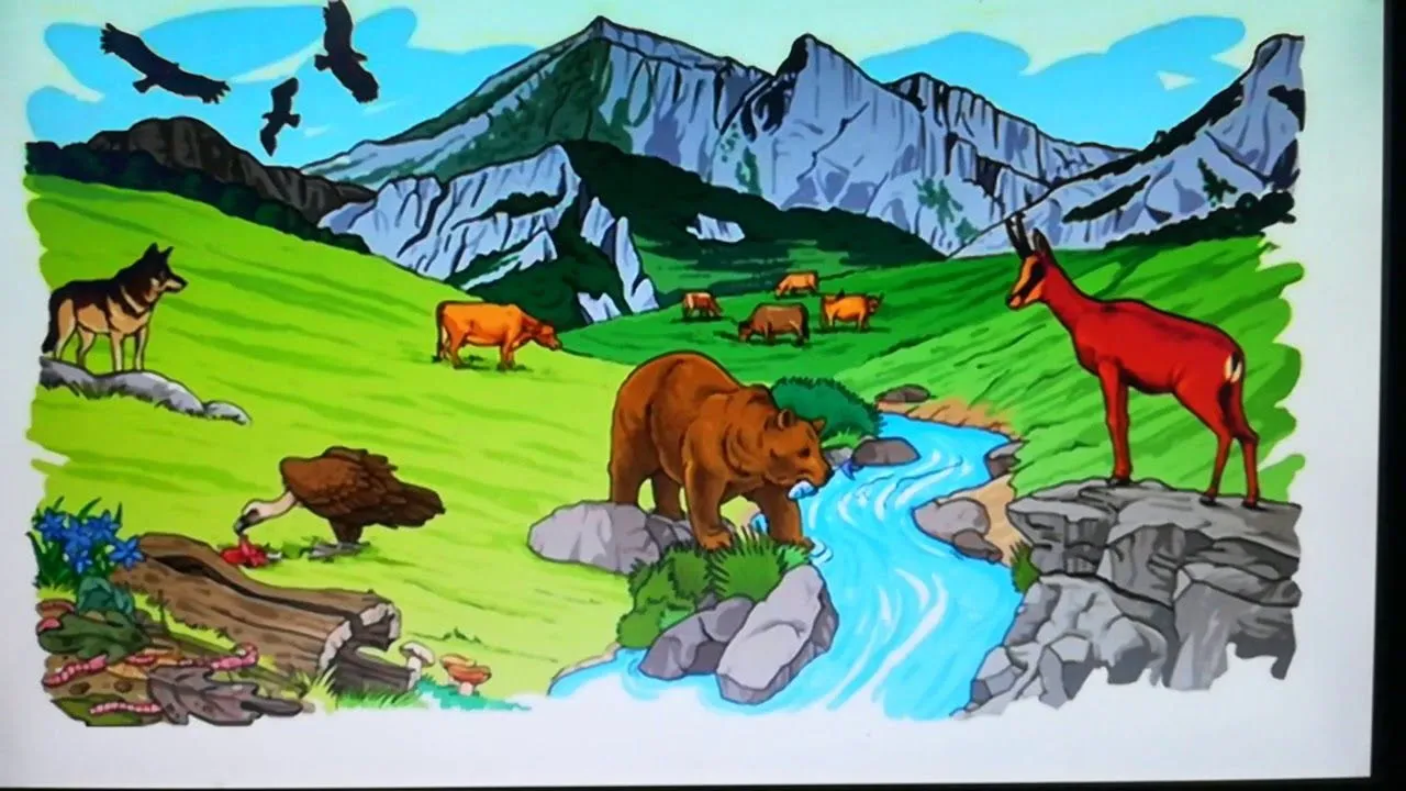 Ecosistema terrestre y acuático 24/6/2020 - YouTube Ecosistema terrestre y acuático 24/6/2020 - YouTube