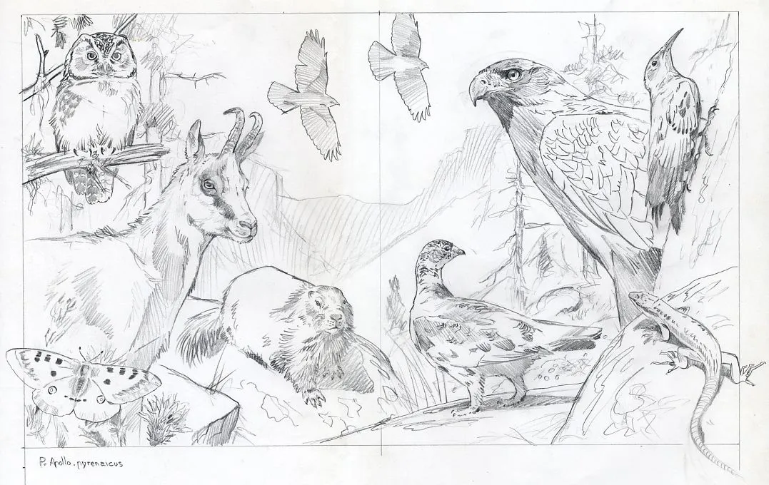 Ecosistema terrestre Colouring Pages