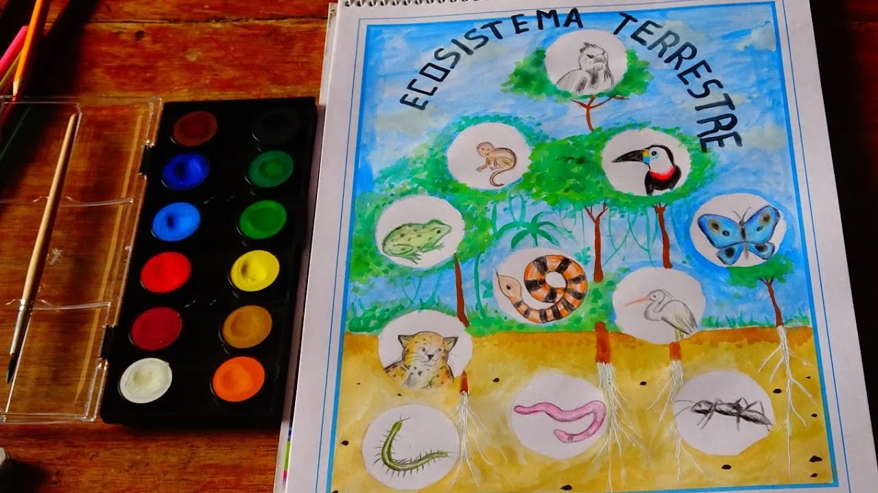 Ecosistema Terrestre Dibujo para Primaria / DibujoYColor - YouTube Ecosistema Terrestre Dibujo para Primaria / DibujoYColor - YouTube