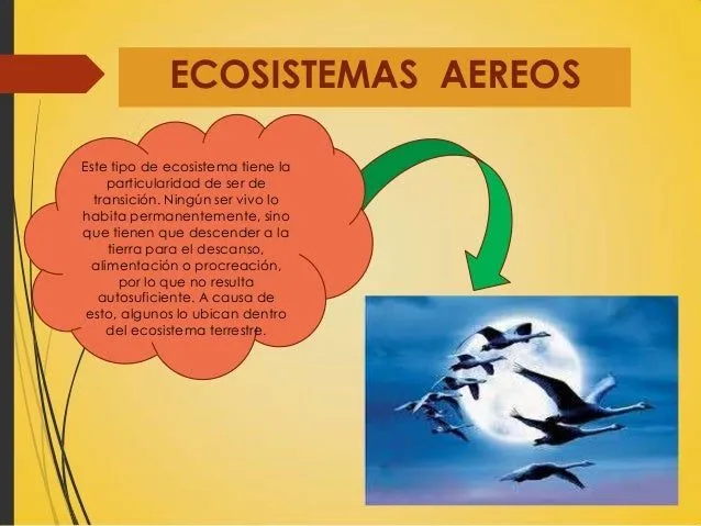 Trabajo ecosistemas (1)