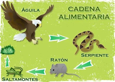 Ecosistemas