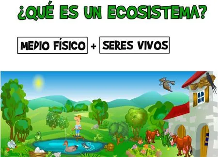 Ecosistemas |