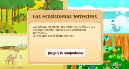 ecosistemas |