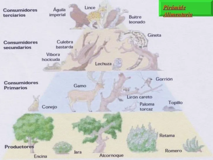 Ecosistemas