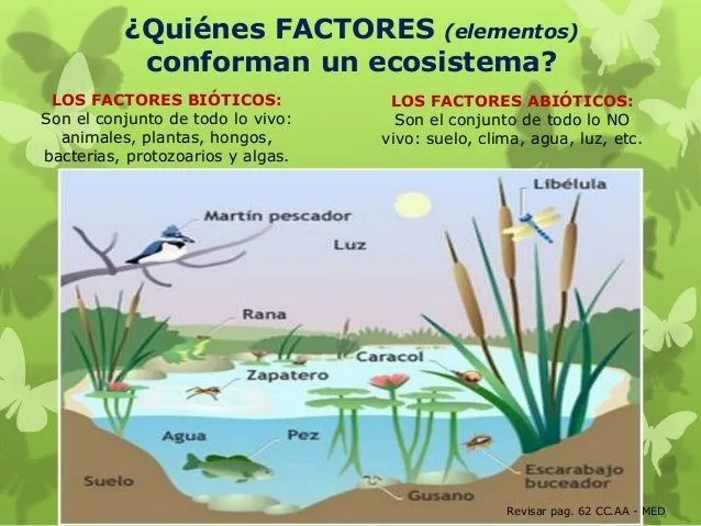 Ecosistemas 5º 2014 parte 1