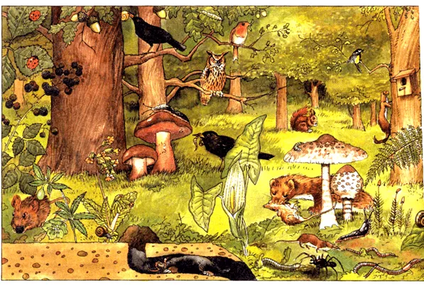 Ecosistemas Acuaticos: Factores bioticos y abioticos Ecosistemas Acuaticos: Factores bioticos y abioticos