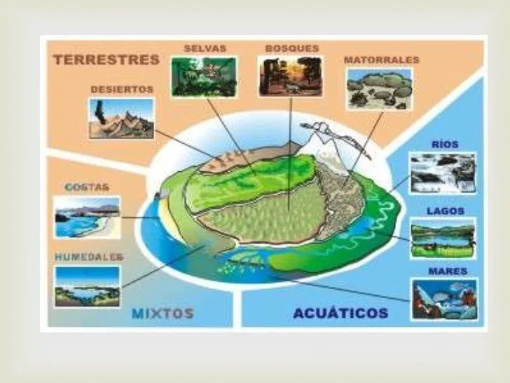 Los grandes ecosistemas acuaticos y terrestres