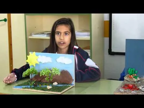 Los ecosistemas: los componentes, ecosistemas marinos y ... Los ecosistemas: los componentes, ecosistemas marinos y ...