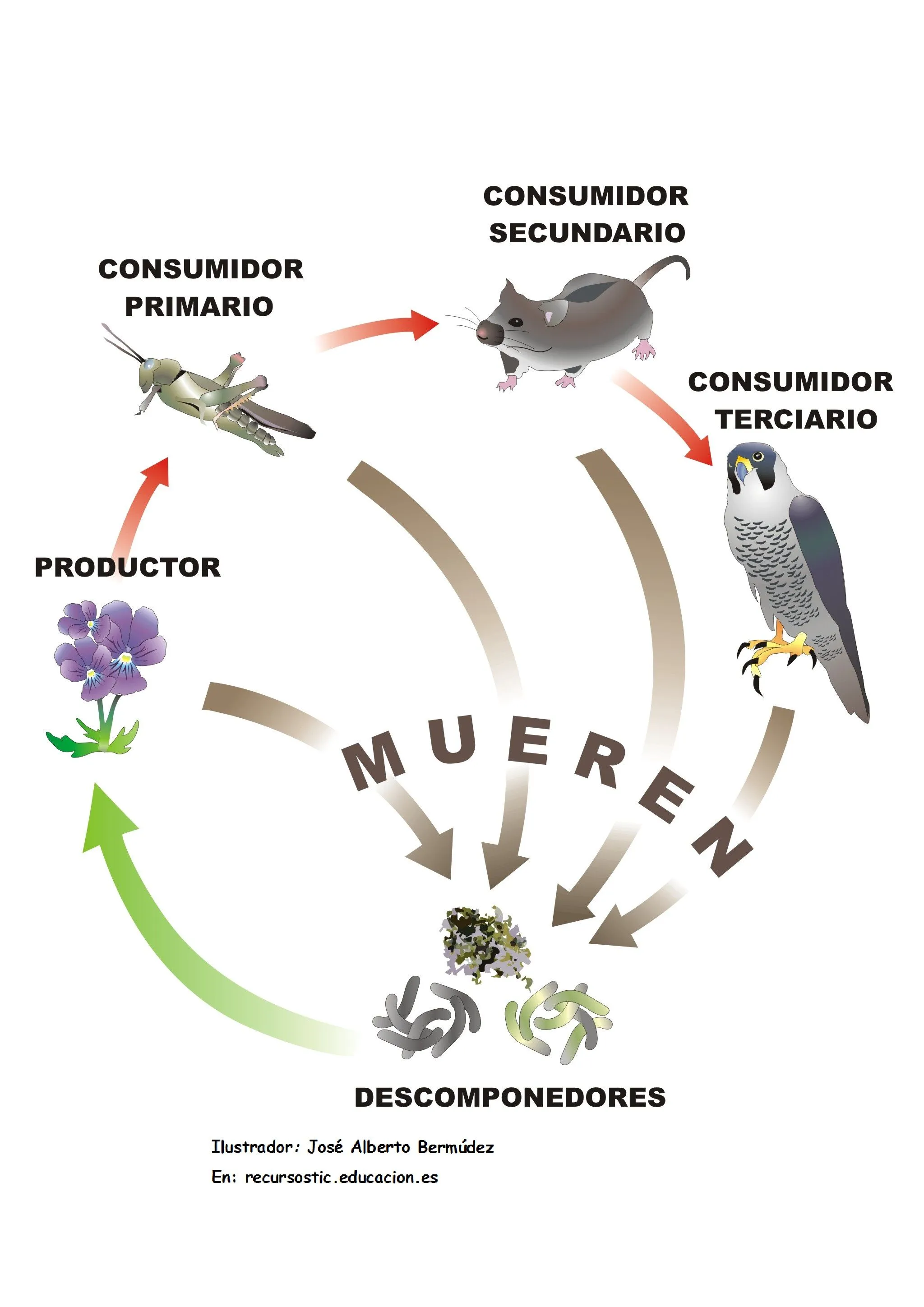 ecosistemas. - Currículum en línea. MINEDUC. Gobierno de Chile. ecosistemas. - Currículum en línea. MINEDUC. Gobierno de Chile.