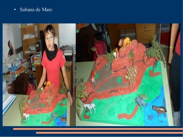 ecosistemas-maquetas-ii-2-638. ...