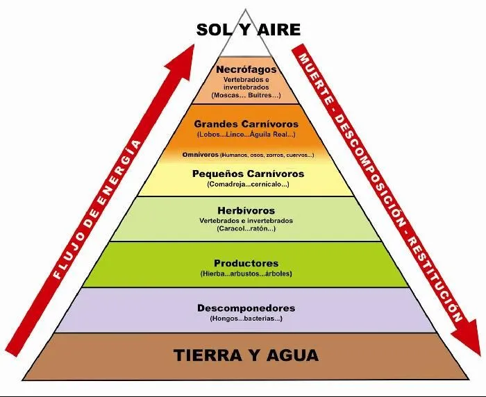 ecosistemas (Mario Pérez) - Infogram, charts &amp; infographics