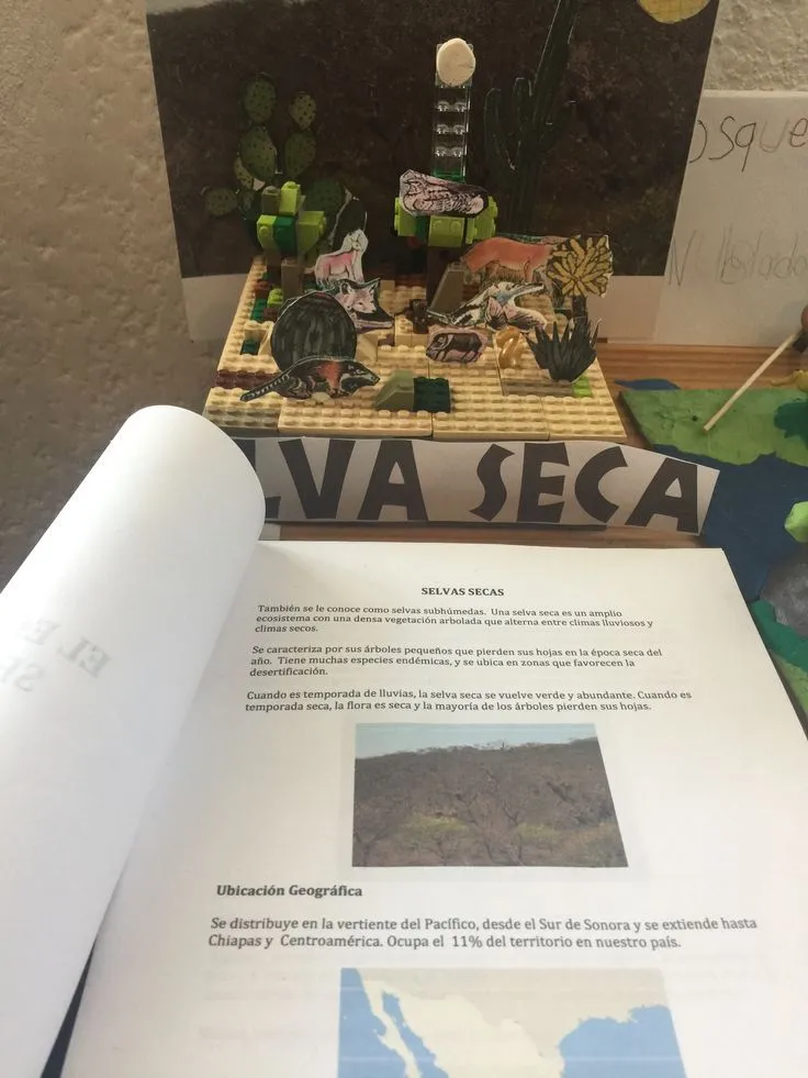 Ecosistemas de México | Manualidades, Ecosistemas, Actividades Ecosistemas de México | Manualidades, Ecosistemas, Actividades