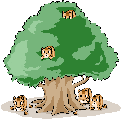 ECOSISTEMAS DEL PERU