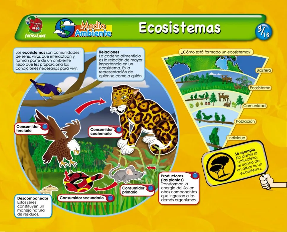 Ecosistemas - Hago mi Tarea