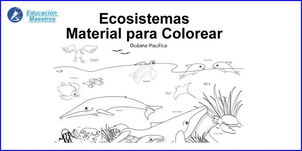 ▷ Ecosistemas terrestres para niños de primaria | Actualizado octubre 2023 ▷ Ecosistemas terrestres para niños de primaria | Actualizado octubre 2023