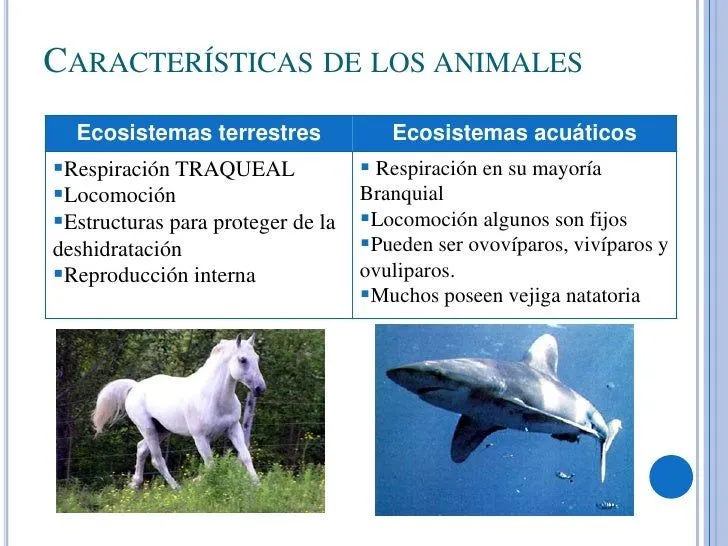 ecosistemas-terrestres-y- ...