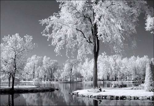 EDELIA´S CLUB: ESTAMOS EN INVIERNO...... EDELIA´S CLUB: ESTAMOS EN INVIERNO......