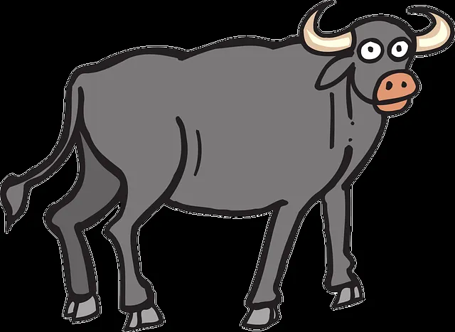 Edita Olaizola: El toro, la niña y la plasticidad del cerebro ...