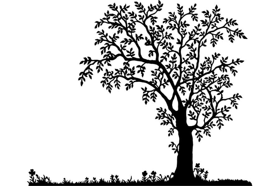 Editorial 77 - Caio Mario: Roma hace 2100 años - Veterinaria Digital - Avicultura, Porcicultura, Rumiantes y Acuicultura Editorial 77 - Caio Mario: Roma hace 2100 años - Veterinaria Digital - Avicultura, Porcicultura, Rumiantes y Acuicultura