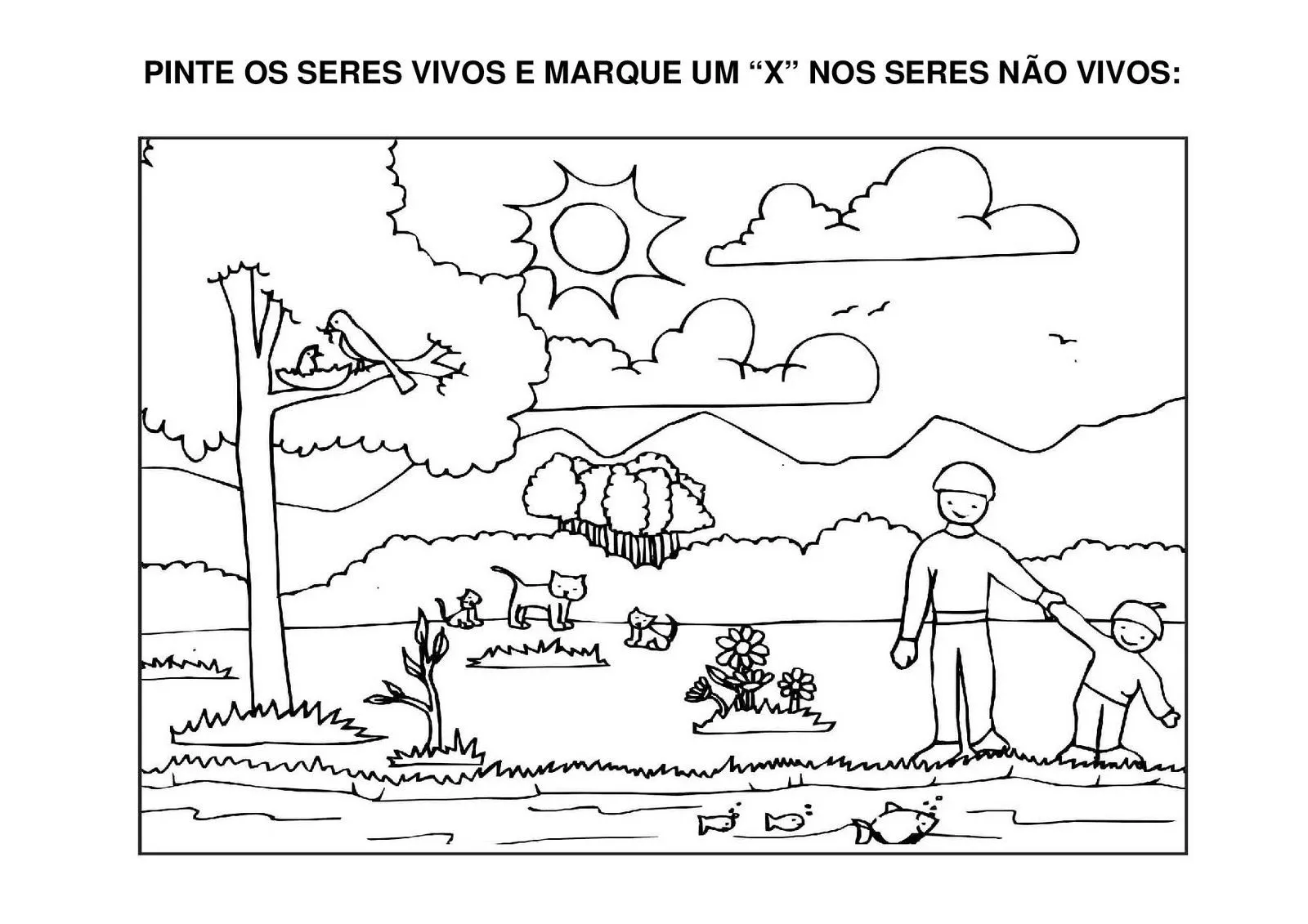 EDUCAÇÃO NA PRÁTICA: Seres vivos e não vivos