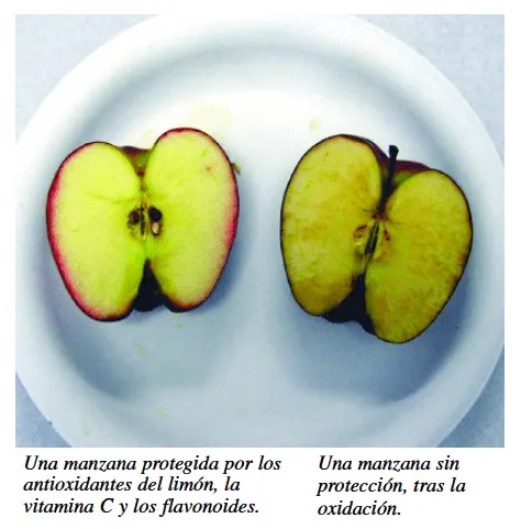 Educación Alimentaria y Nutricional: Estrategias y Recursos Educación Alimentaria y Nutricional: Estrategias y Recursos