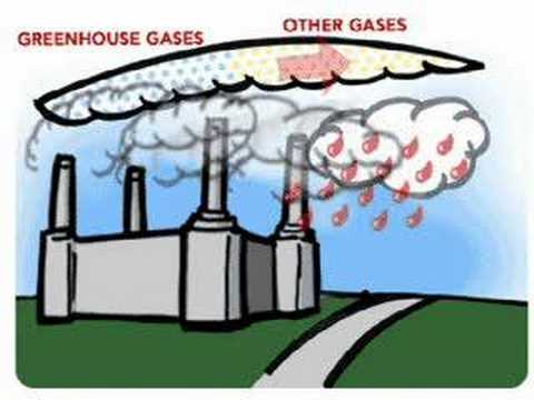 Trabajo de Educación Ambiental - YouTube